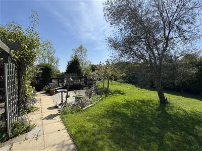 Picture 28
